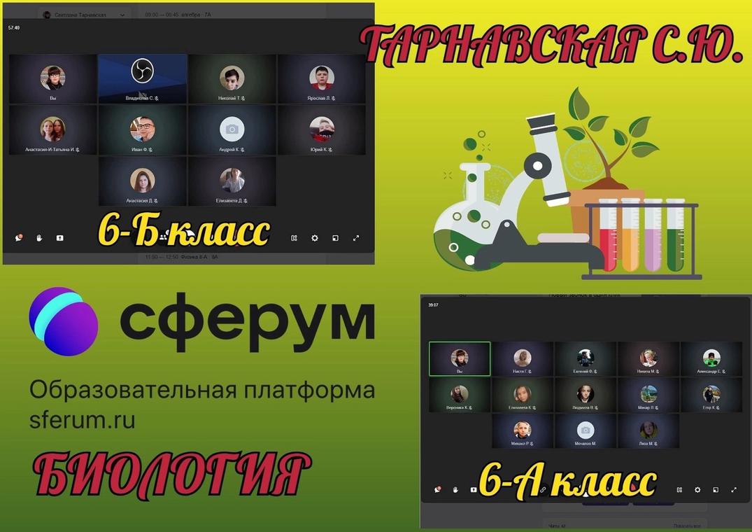 Сферум платформа регистрация