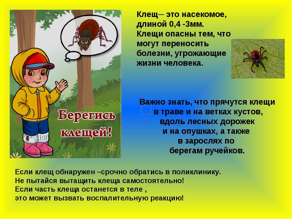 Что опасно человеку в лесу. Клещи в лесу опасность. Лесные опасности клещи. Опасности в лесу клещ. Опасности в лесу клещи 2 класс.