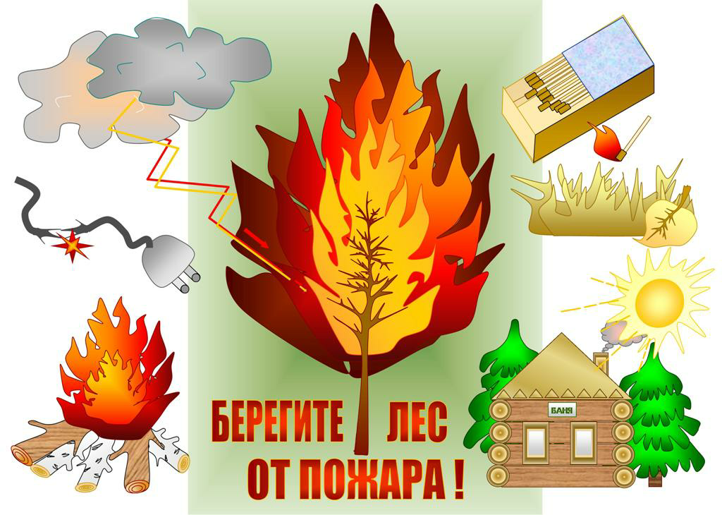 Пожарная безопасность в лесу для детей презентация