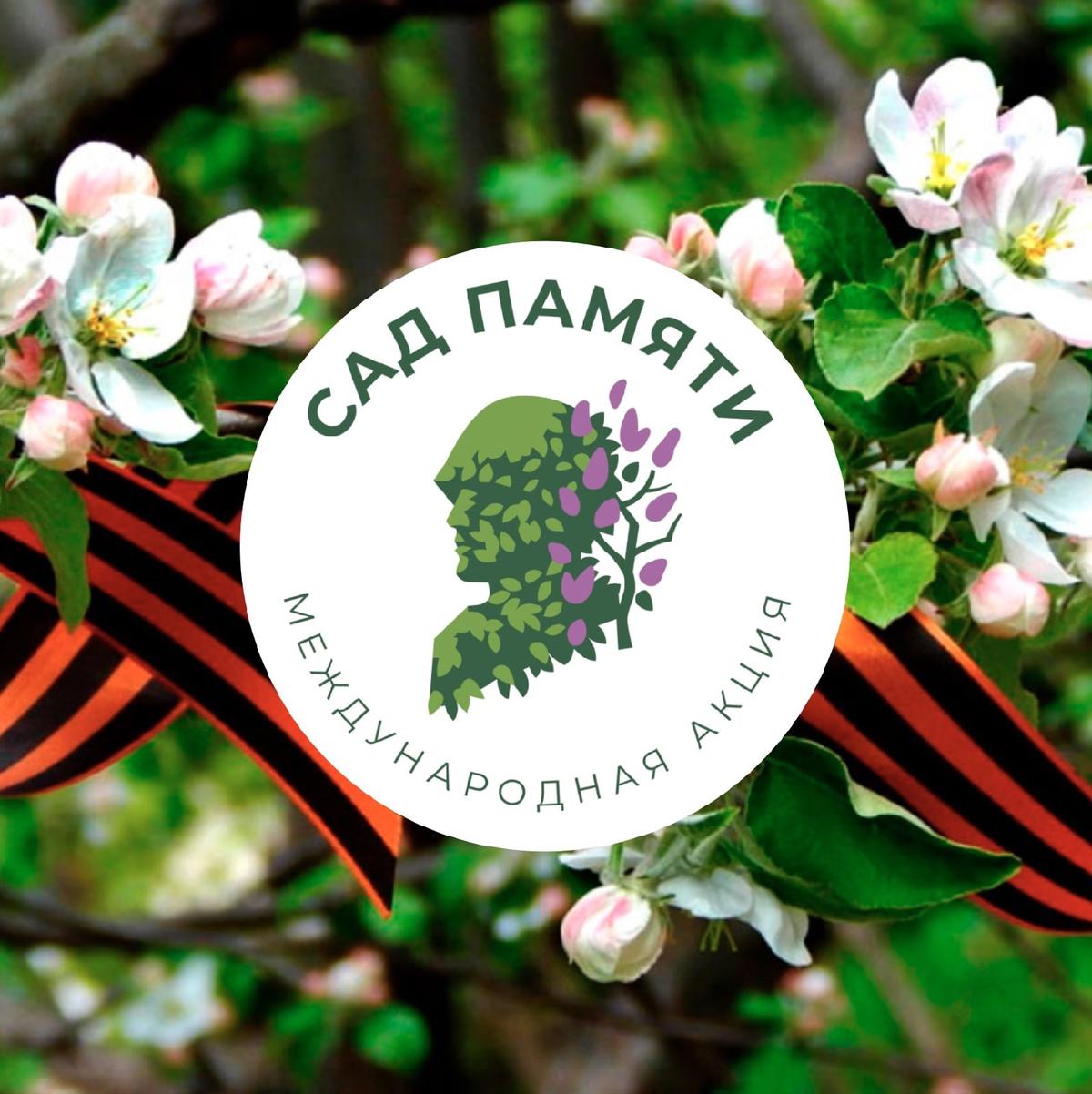 Картинка сад победы