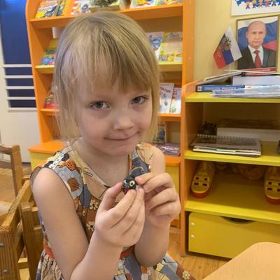 Занятие в средней группе. Занятия для средней группы детского сада. Пид старшая группа. Познавательное занятие в старшей группе. Занятие в старшей группе.