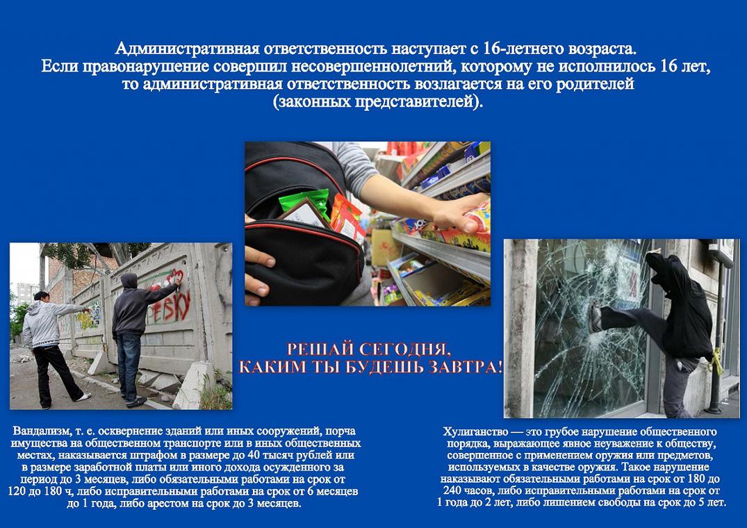Они ответственны за