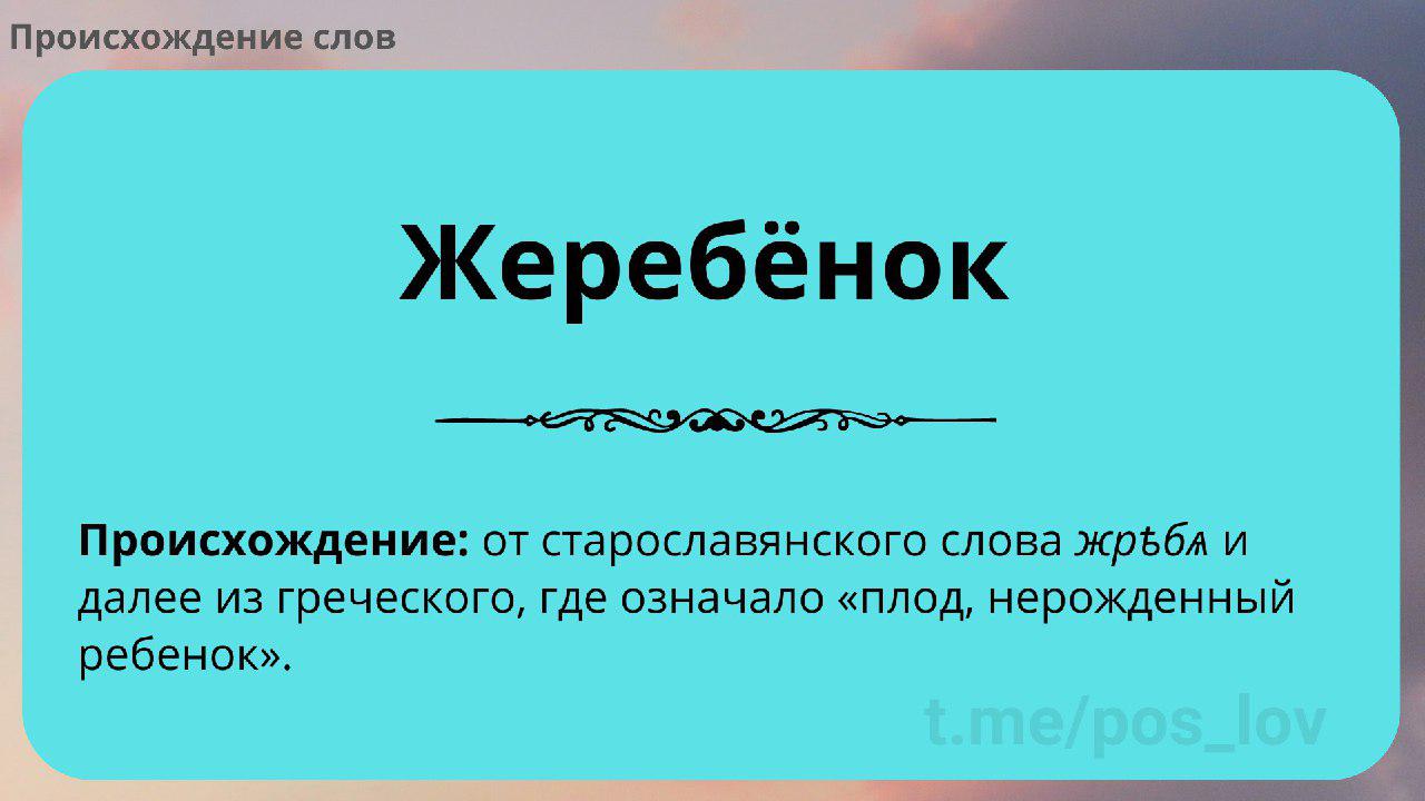 Происхождение слов: Жеребенок.